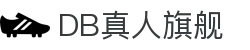 DB真人旗舰·(中国)集团官方网站